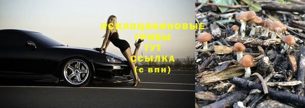 МДПВ Армянск