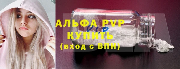 сатива Аркадак