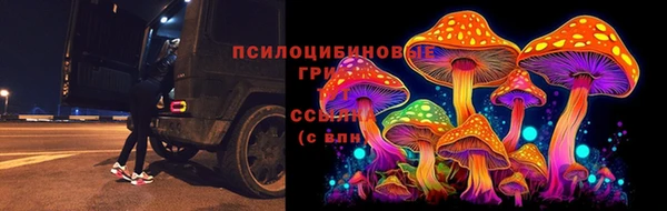 МДПВ Армянск