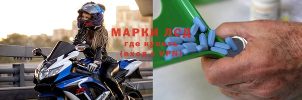 сатива Аркадак