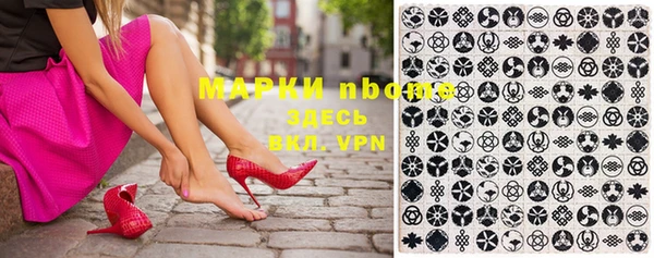 сатива Аркадак