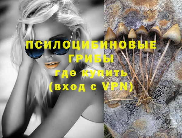 сатива Аркадак