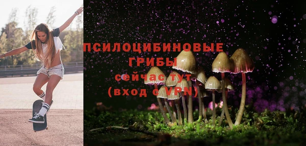 первитин Арсеньев