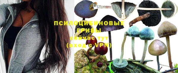 МДПВ Армянск