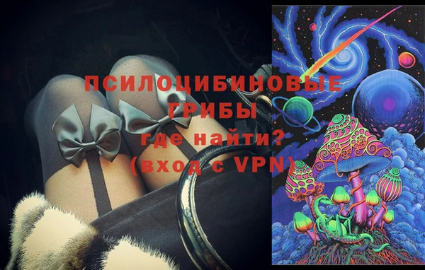 сатива Аркадак